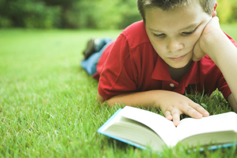 Theorists view on child development